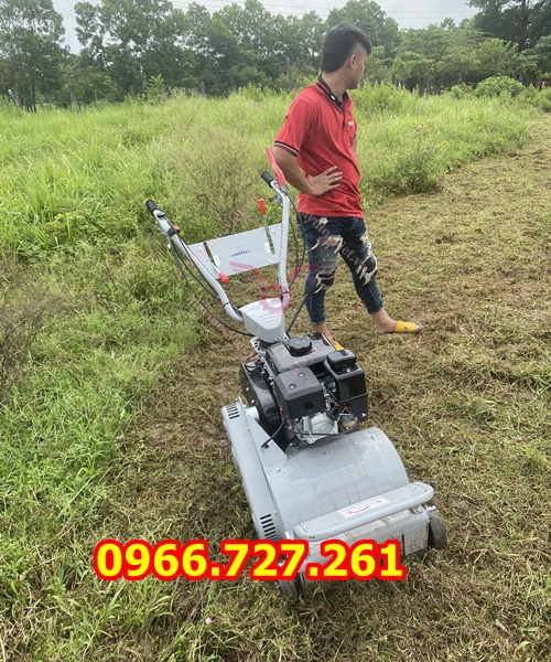 máy cắt cỏ trục băm, quật cỏ chạy xăng động cơ 7hp
