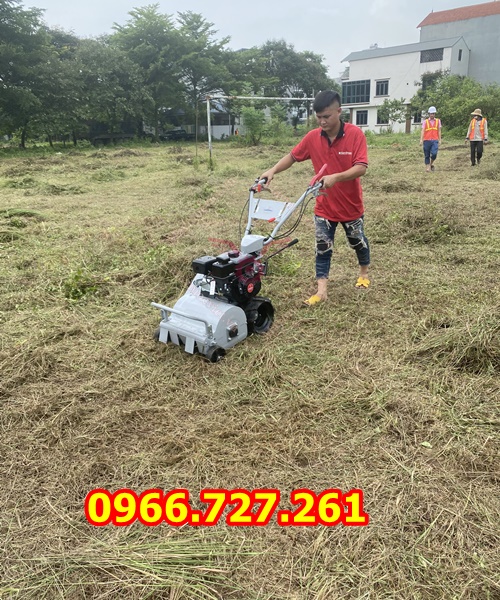 máy cắt cỏ trục băm, quật cỏ chạy xăng động cơ 7hp
