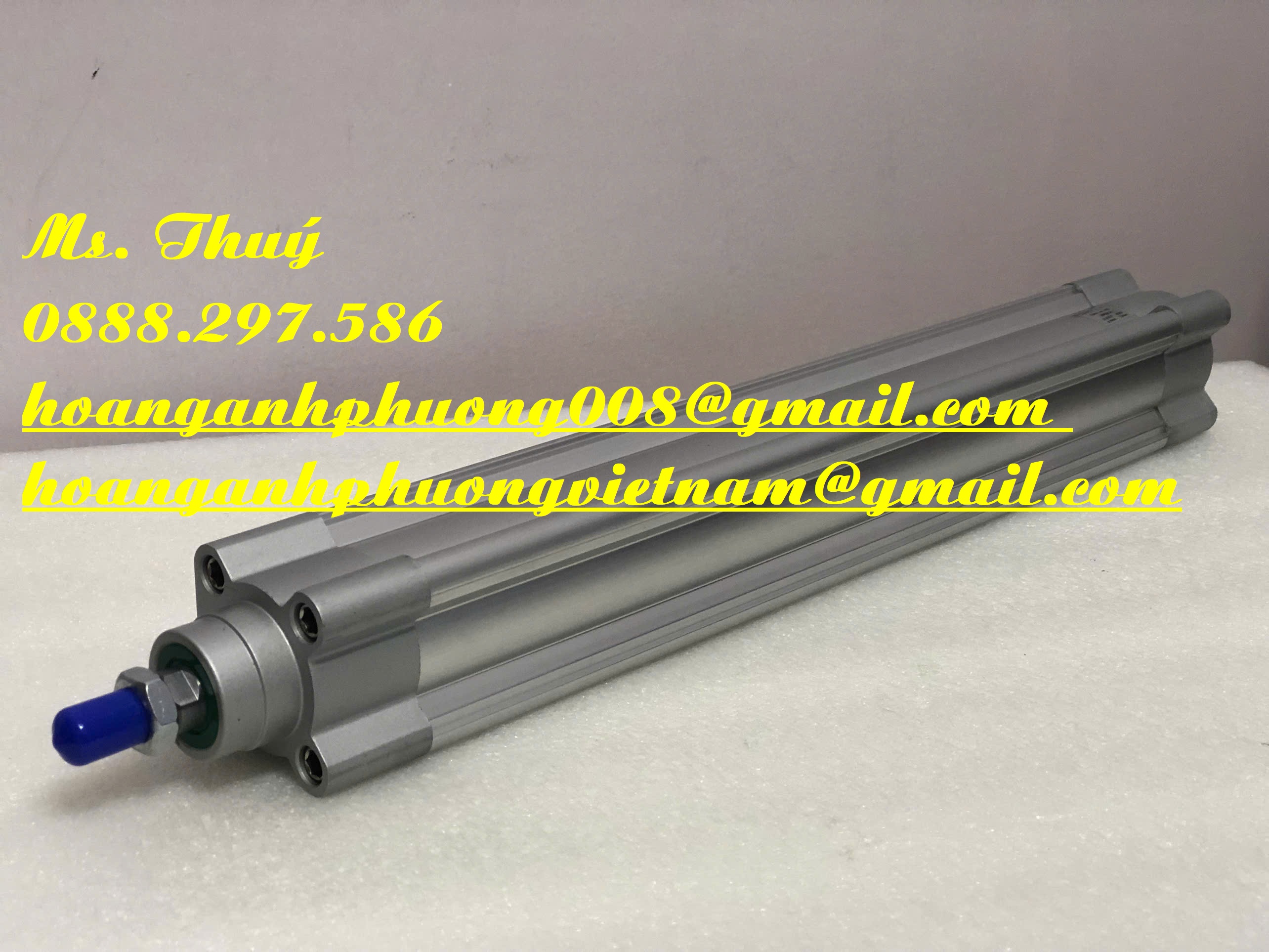 Chuyên xi lanh - Festo DSBC-40-300-PPVA-N3 - Germany