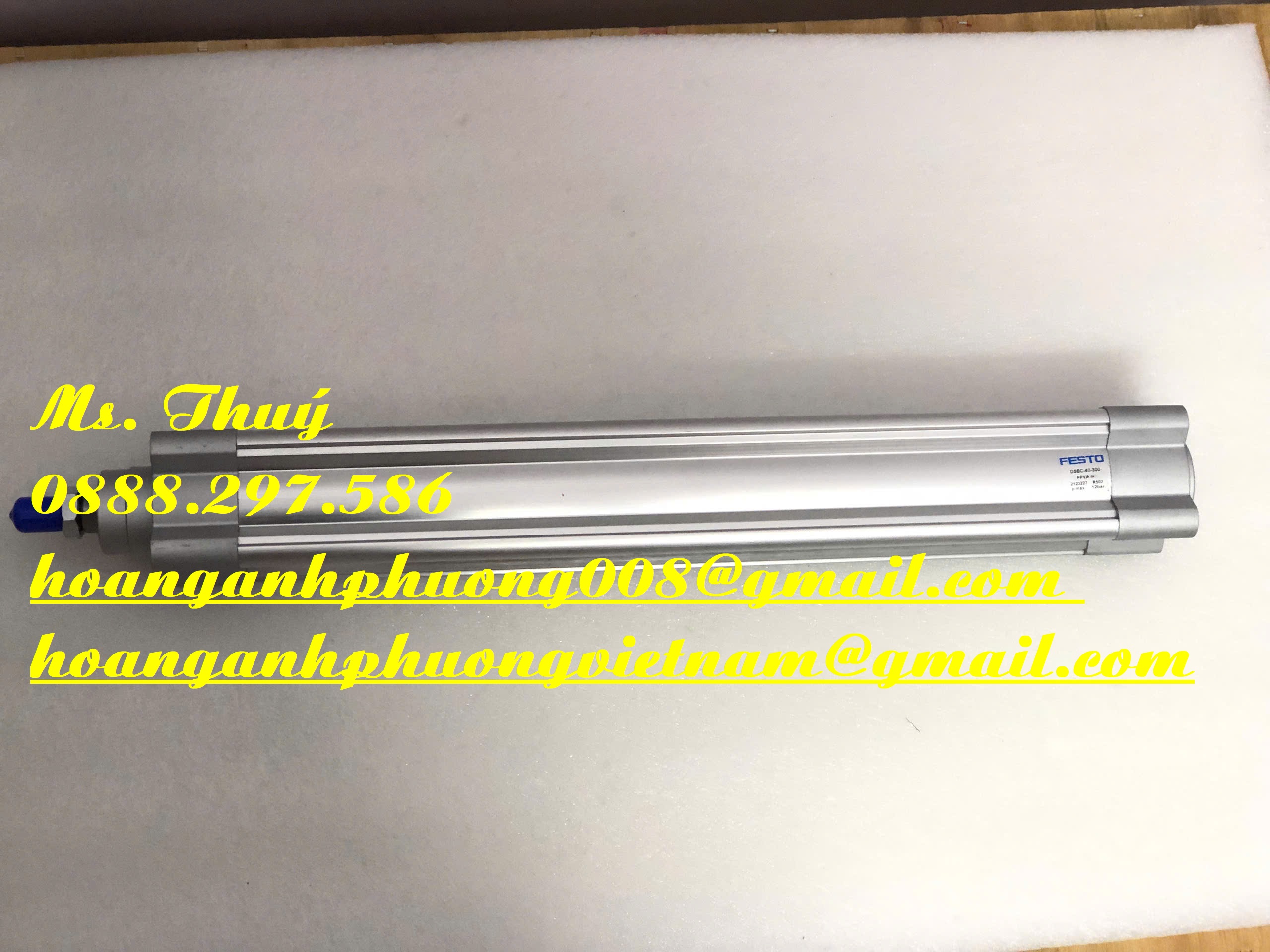 Chuyên xi lanh - Festo DSBC-40-300-PPVA-N3 - Germany