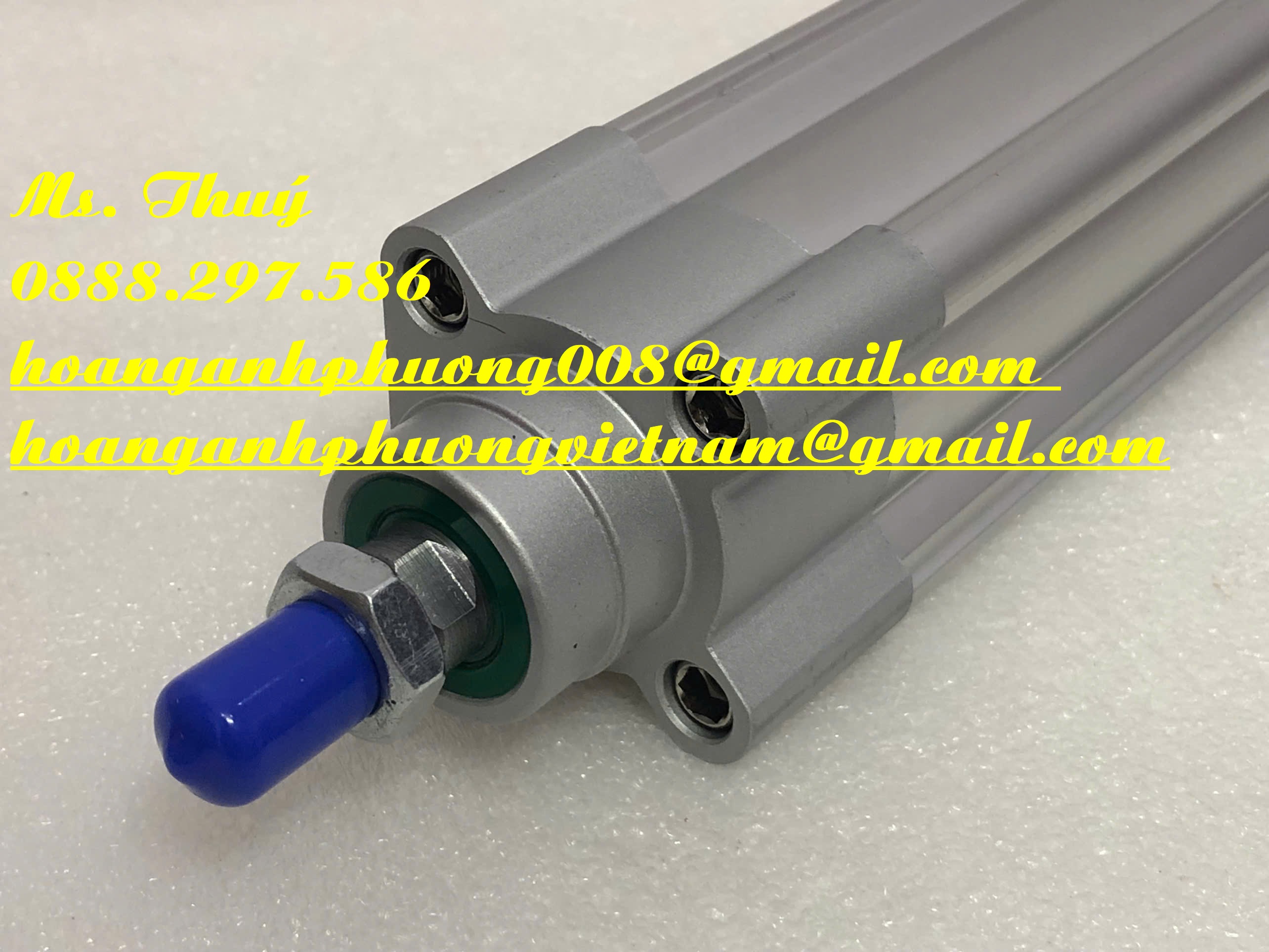 Chuyên xi lanh - Festo DSBC-40-300-PPVA-N3 - Germany