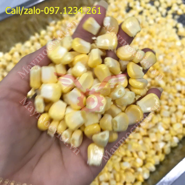 Máy tuốt (tách) hạt ngô (bắp) tươi tự động VM268