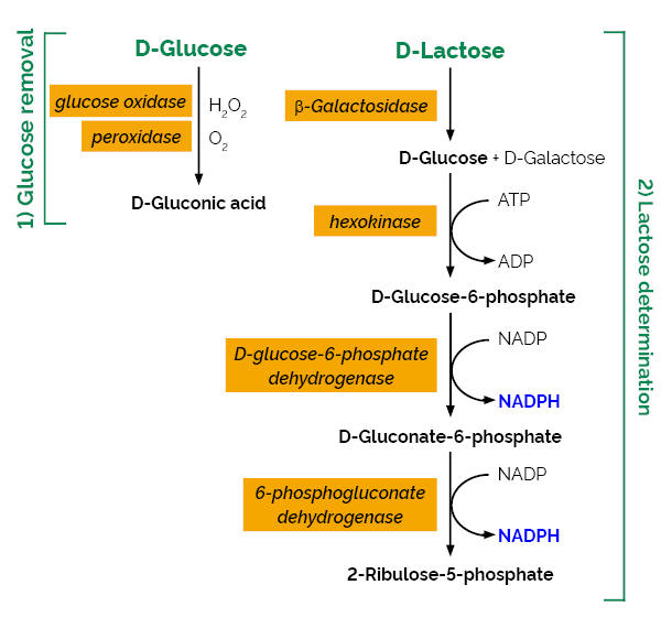 Bộ phân tích lactose hãng Megazyme