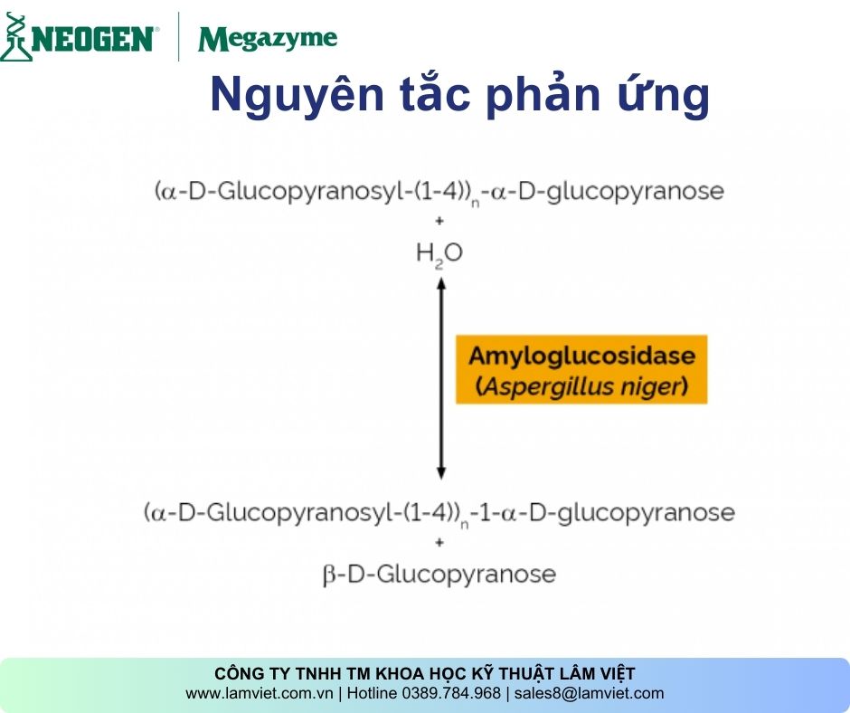 Amyloglucosidase