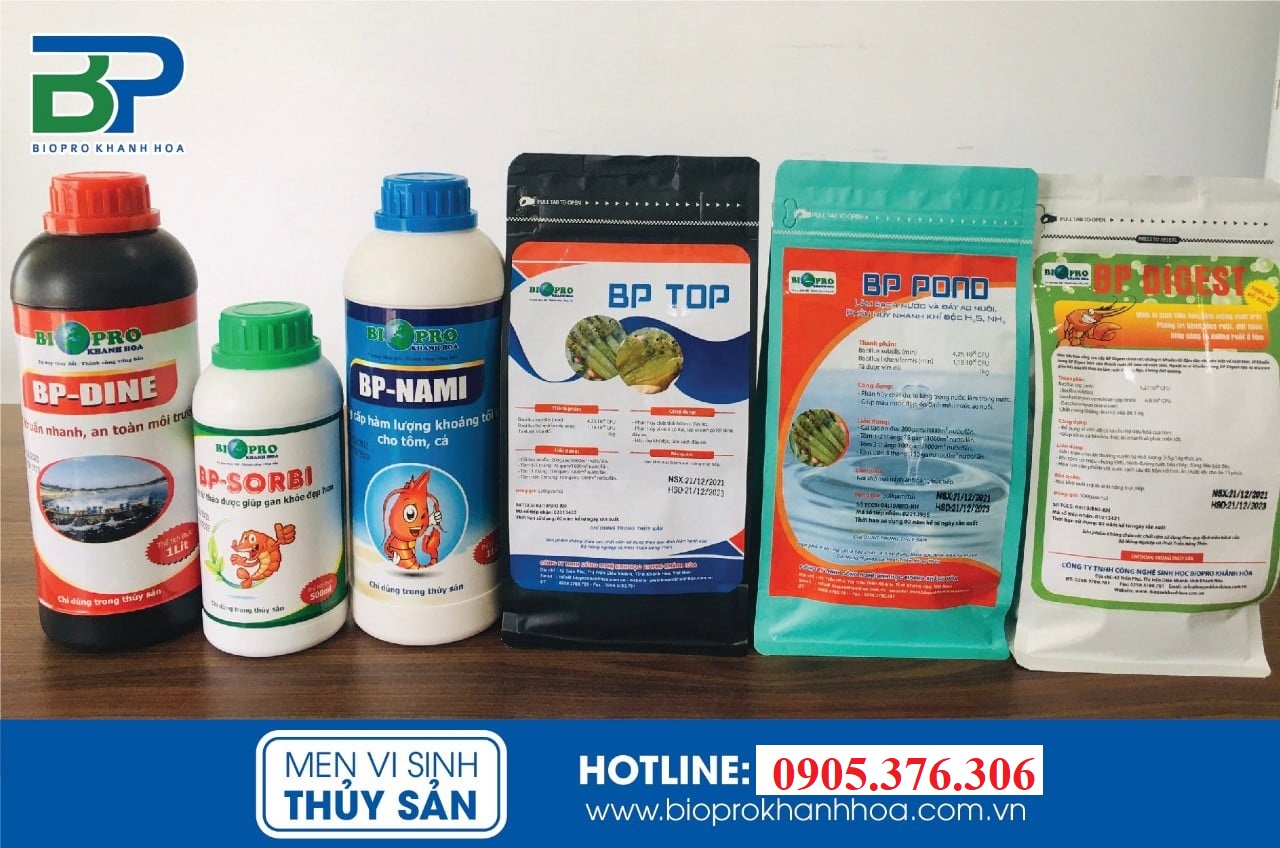 Iodine diệt khuẩn ao tôm cá, ngừa đốm trắng, đầu vàng cho tôm