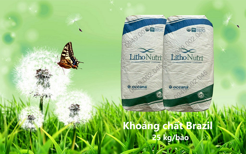 Lithonutri Powder - Khoáng tạt dạng bột cho tôm cá chiết xuất tảo biển