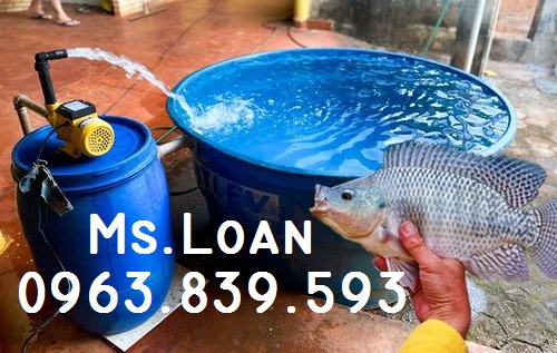 Bể nhựa tròn 1000 lít nuôi cá, bể nhựa đựng nước làm hồ bơi 0963839593