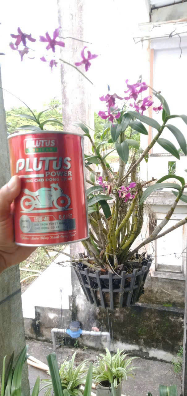 Công nghệ nhật bản bảo vệ động cơ tối ưu - Dầu nhớt Plutus