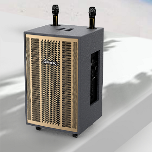 Loa kéo karaoke APEX APA 3303 chính hãng mới
