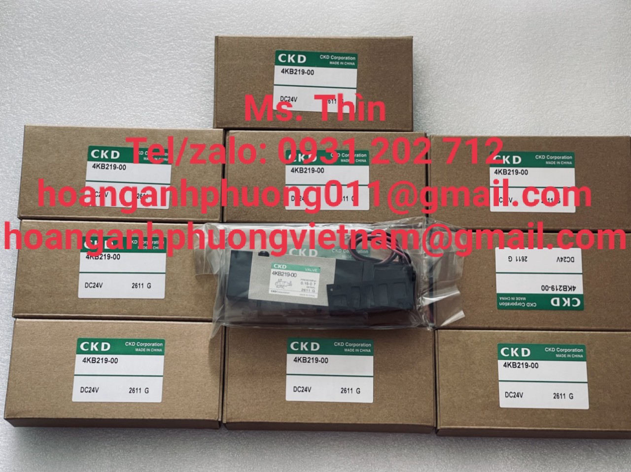 4KB219-00  Van điện từ CKD  hàng nhập khẩu giá tốt