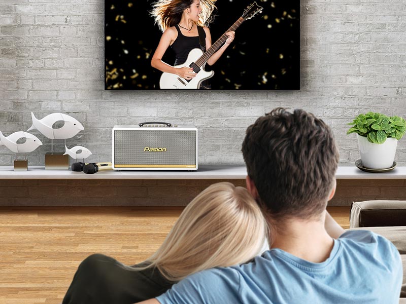 Loa Karaoke Xách Tay Paramax Pasion 2C - Công Suất 400W