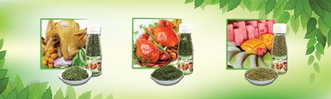 Muối é Đặc sản Tây Nguyên, Vị thuốc quanh ta, Chấm chấm ngon ngon, đam mê lúc nào không biết