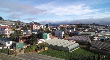 Cơ sở lưu trú du lich Thiên Thảo - Đà Lạt