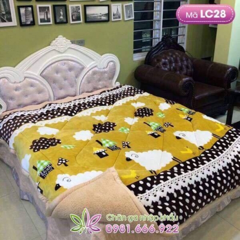 Chăn lông cừu và Thảm nhung trải giường các loại giá rẻ