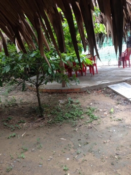 Sang nhượng quán ăn gia đình Cầu số 4, Vĩnh Bình, Châu Thành, An Giang