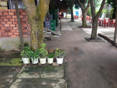 Sang nhượng quán ăn gia đình Cầu số 4, Vĩnh Bình, Châu Thành, An Giang