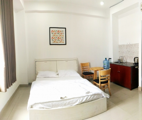 Cho thuê căn hộ mini Gần Thảo cầm viên quận 1