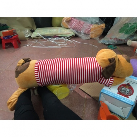 CHÓ ÔM HÀNG BÉO SIZE LỚN DÀI (LÔNG VÀNG ÁO ĐỎ)