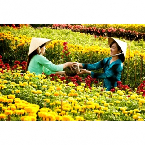 Hồ Chí Minh [Voucher] - Tour 01 ngày Chùa Lá Sen KDL Xẻo Quýt Làng hoa Sa Đéc