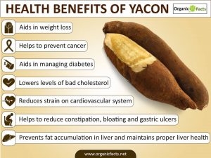 sỉ lẻ củ khoai sâm đất tây bắc