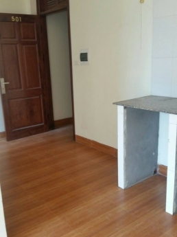 CHÍNH CHỦ CHO THUÊ CHUNG CƯ MINI P. NGỦ, P. KHÁCH 28M2 TẠI SỐ 118 ĐƯỜNG NGUYỄN ĐỔNG CHI