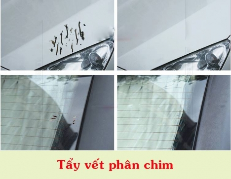 DUNG DỊCH TẨY RỬA NHỰA ĐƯỜNG – KEO RỈ SÉT XE HƠI AVANTECH