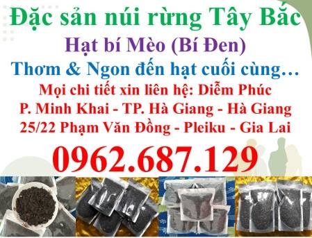 HẠT BÍ MÈO - BÍ ĐEN