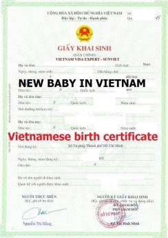 Dịch vụ visa chuyên nghiệp