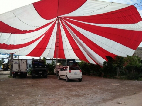 Cho thuê dù sự kiện tại Đồng Tháp