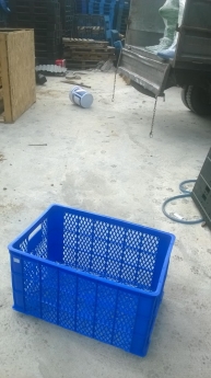 Thanh lý pallet nhựa ,pallet gỗ sóng nhựa toàn quốc tại đà nẵng
