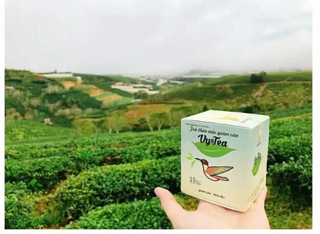 Trà giảm cân VY&TEA