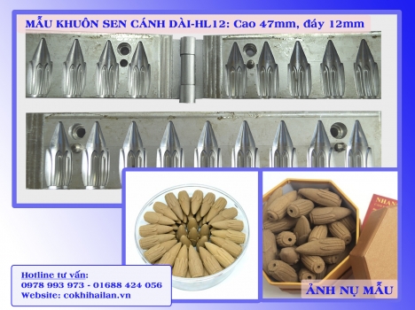 CHUYÊN GIA CÔNG KHUÔN NỤ NHANG