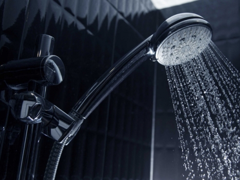 Sen vòi, lavabo giá rẻ
