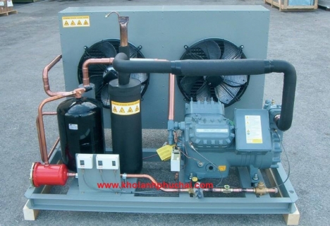 Chuyên cung cấp và lắp đtặ Cụm máy nén dàn ngưng BITZER - Đức