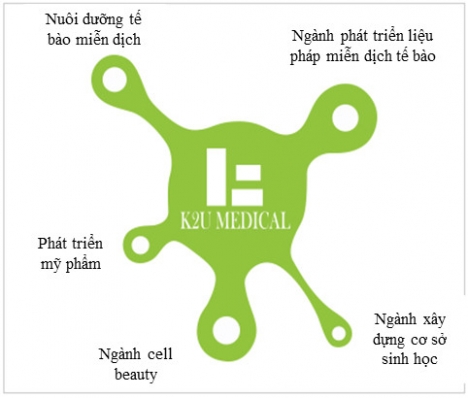 Những phương pháp điều trị ung thư phổ biến