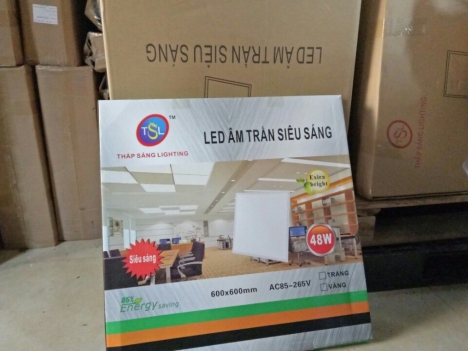 PANEL ÂM TRẦN 600x600
