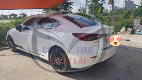 cho thuê oto tự lái