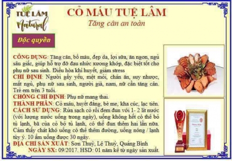 Cỏ máu Tuệ Lâm Quảng Bình