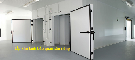 0942.180.139 Thiết kế, lắp đặt kho lạnh bảo quản sầu riêng tại Gia Lai