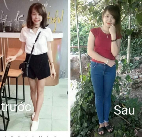 Cỏ máu Tuệ Lâm Quảng Bình