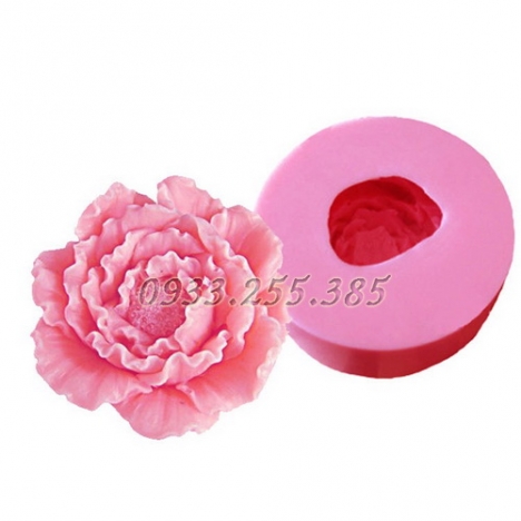 Bộ 7 khuôn Silicon 4D làm rau câu - T14