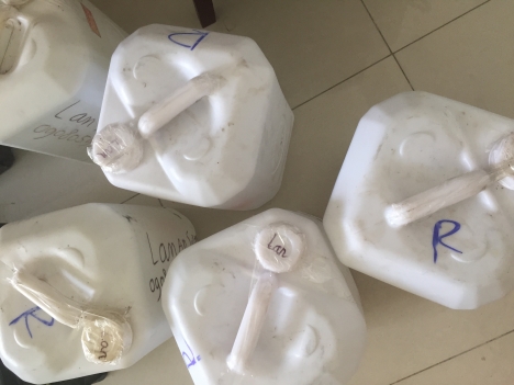 Rượu nếp Kim Sơn