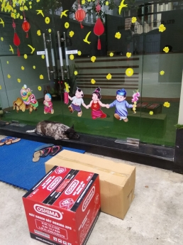 Máy khoan đất giật nổ động cơ 2 thì giá khuyến mại