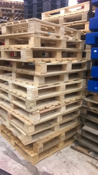 Nhà phân phối pallet gỗ ,pallet nhựa sóng nhựa tại đà nẵng