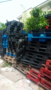 Thanh lý pallet nhựa pallet gỗ tại Đà Nẵng