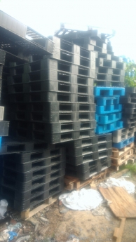 Thanh lý pallet nhựa pallet gỗ tại Đà Nẵng