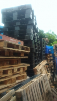 Thanh lý pallet nhựa pallet gỗ tại Đà Nẵng
