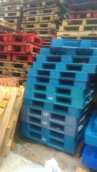 Thanh lý pallet nhựa pallet gỗ tại Đà Nẵng