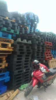 Thanh lý pallet nhựa pallet gỗ tại Đà Nẵng