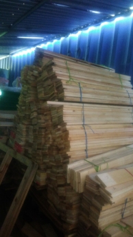 Gỗ thông nhập khẩu,xe nâng,thùng rác tại đà nẵng